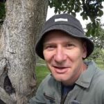 Ett ihåligt träd är inte en dom: ett beprövat sätt