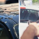 Fåglar skiter inte på bilar längre: här är vad du