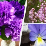 vilka-blommor-vaxer-perfekt-i-krukor-och-behallare-tradgardsmastare-utsag.webp.webp